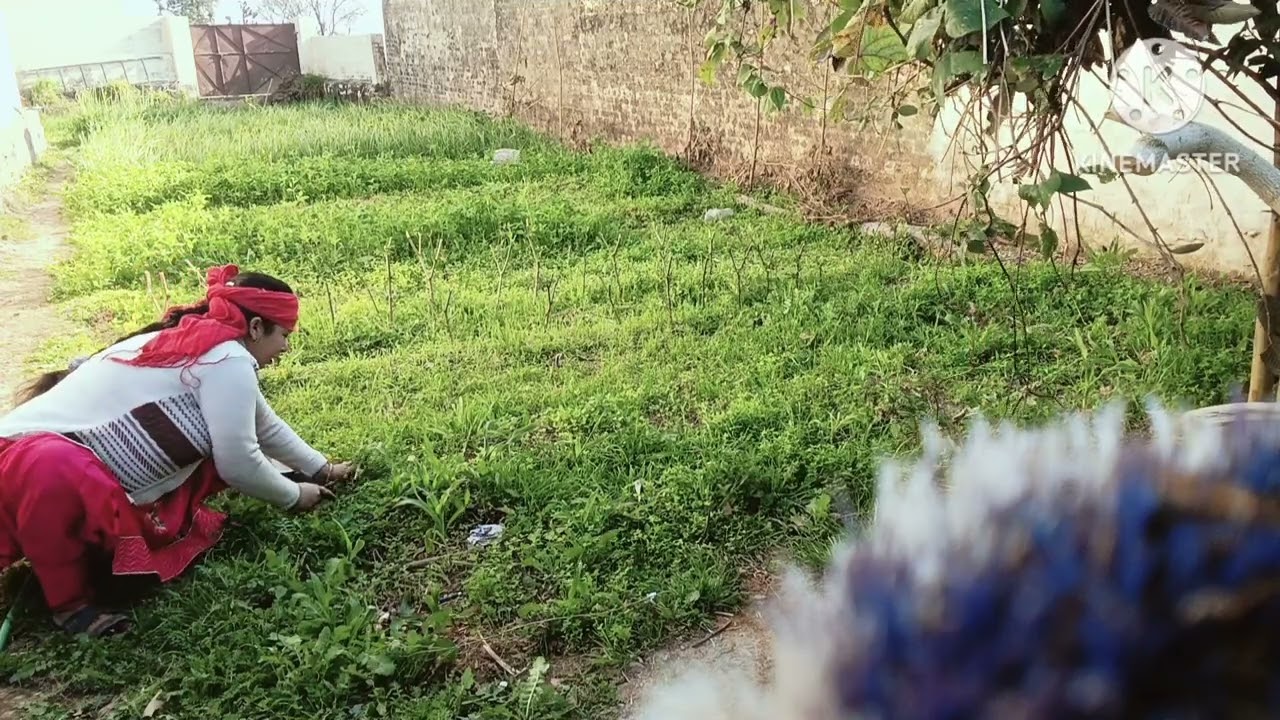 6 mahine baad kyo bnaya video 🤔🤔 sivratri special 🎉🎉