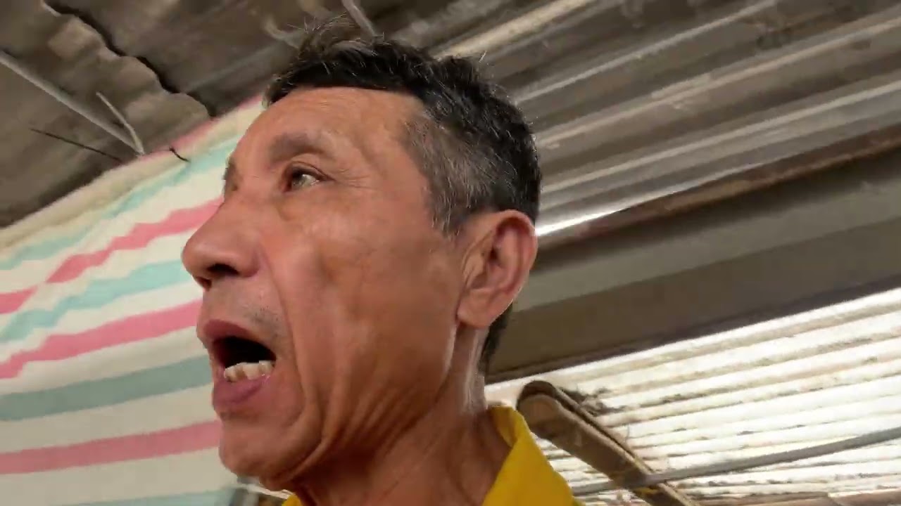 Mô hình gà thảo dược 