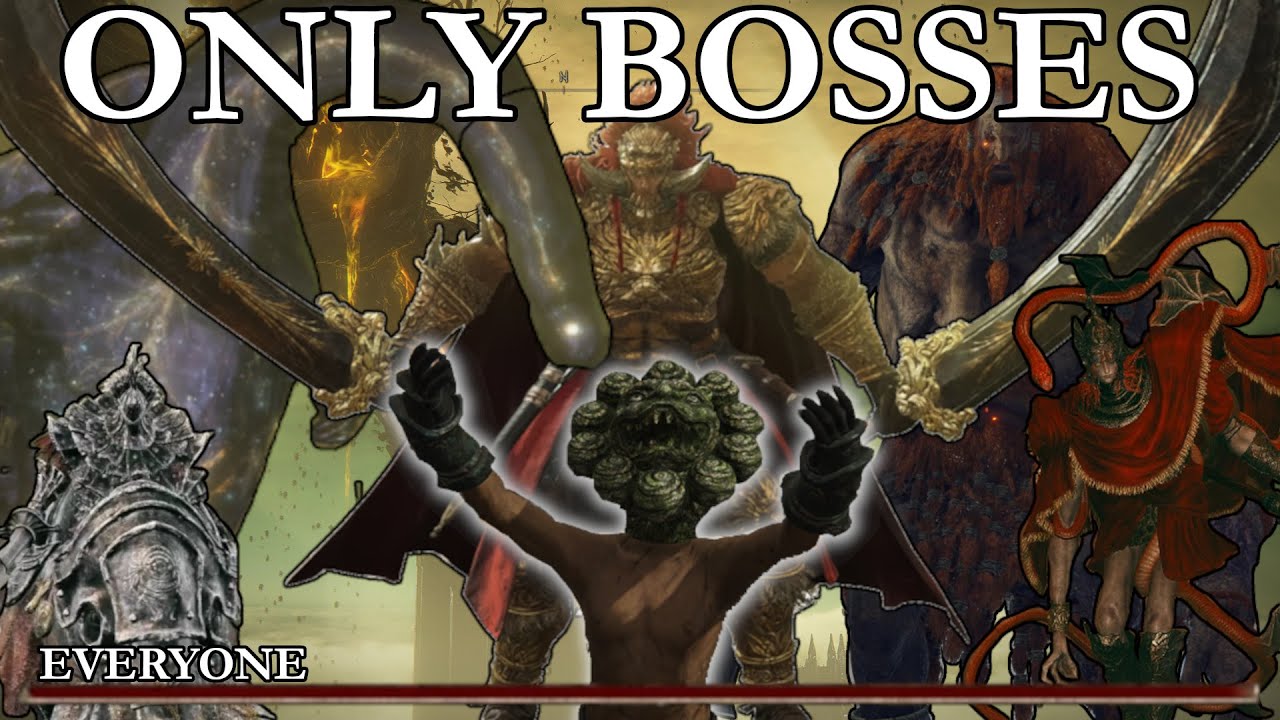 So I turned every enemy in the Elden Ring DLC into a boss...