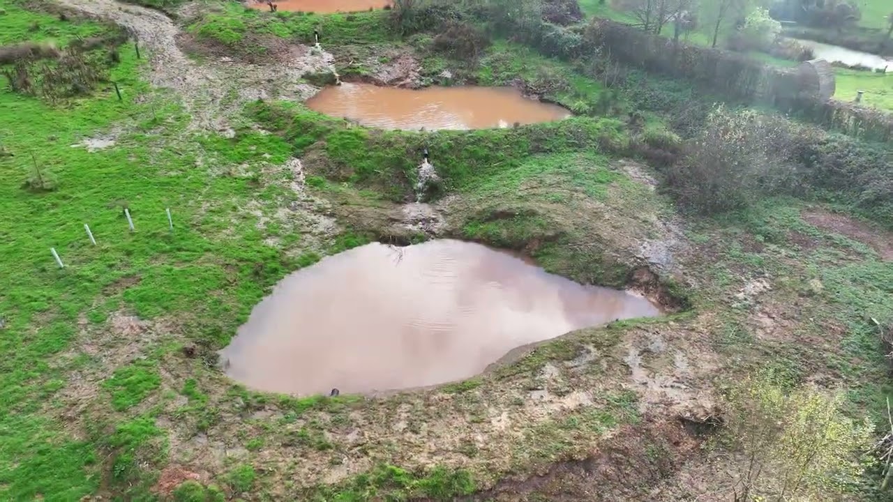 Great Crested Newt ponds In The Wilds, Maundown