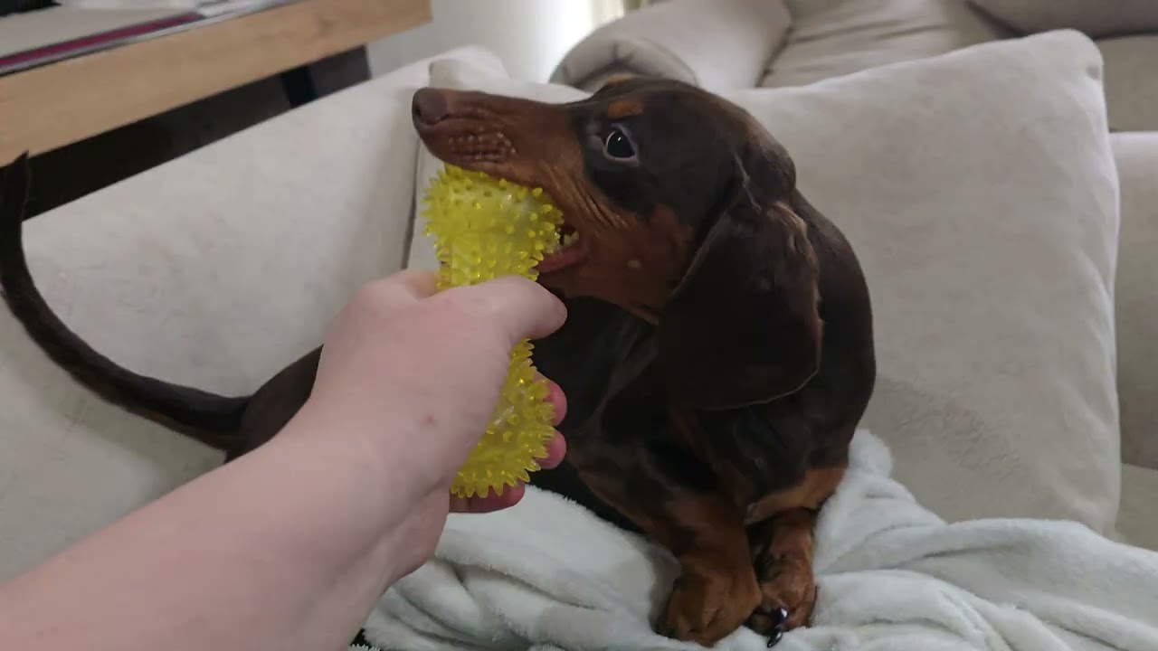 Я написал песню и сыграл её для Хани.