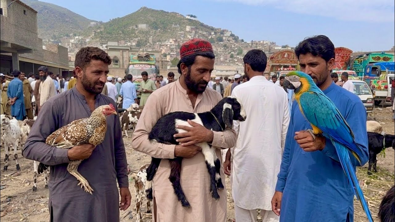 🇵🇰 HIDDEN SECRET PAKISTAN | FIRST TIME EVER EXPLORED IN 4K HDR WALKING TOUR