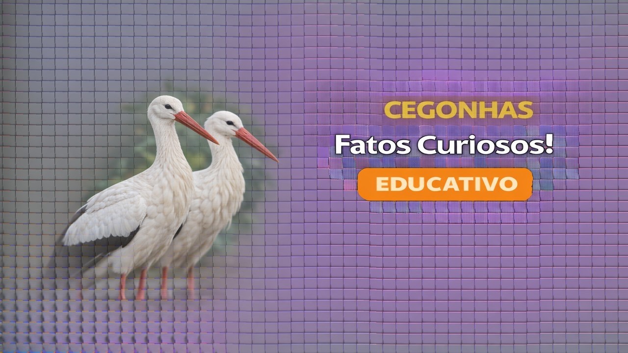 CEGONHAS: SURPREENDENTES SEGREDOS QUE NINGUÉM TE CONTA...