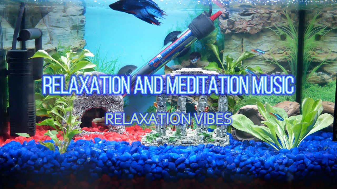 Relaxation vibes -=18=-🧘The Best Relaxation and Meditation YouTube Channel