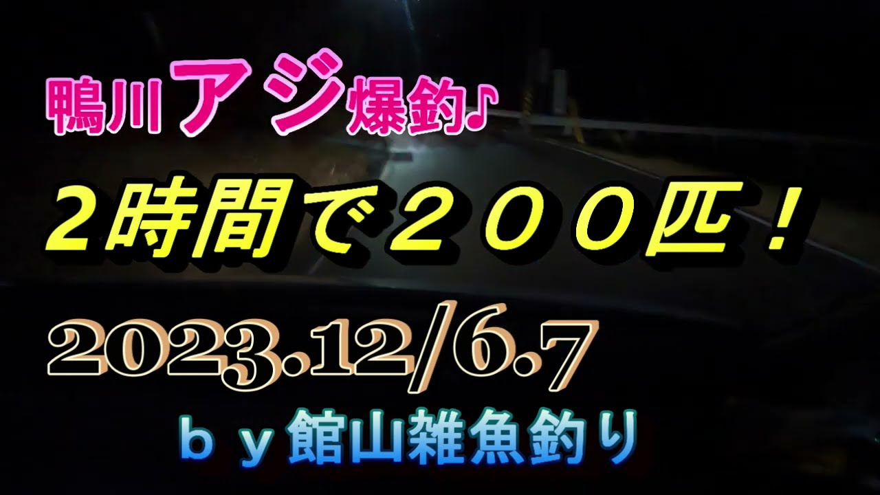 鴨川アジ爆釣♪２時間で200匹！2023.12/6.7　ｂｙ館山雑魚釣り