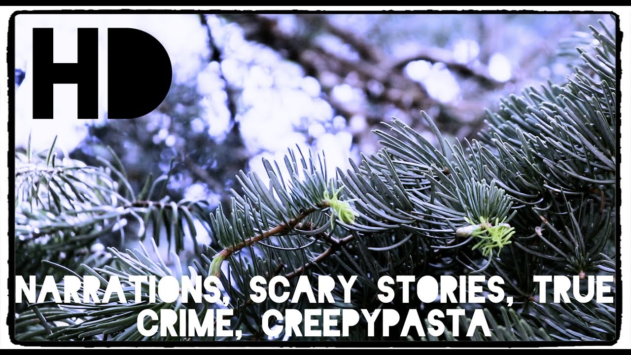 'FOREST/WOODS' FREE CREEPY STOCK FOOTAGE