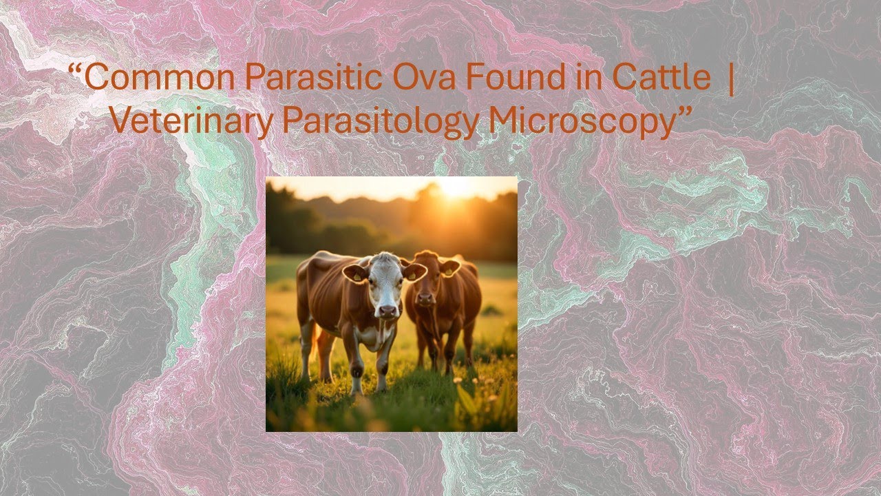 Microscopic Identification of Parasite Eggs: Fasciola, Paramphistome, Moniezia & Coccidia