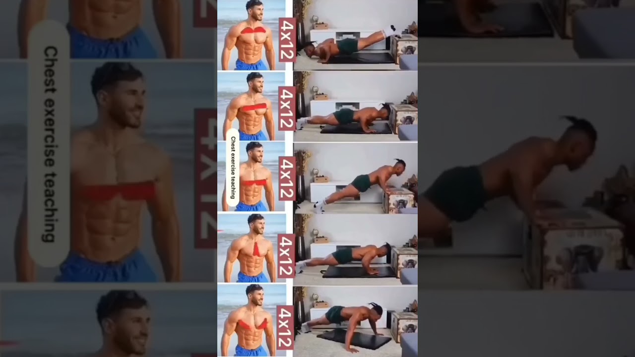 CONHE&Ccedil;A TIPOS DE FLEX&Otilde;ES DIFERENTES PARA TREINAR  O PEITORAL.