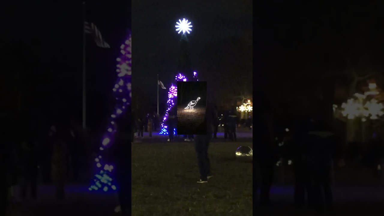 Bronx Zoo Holiday Lights 2019