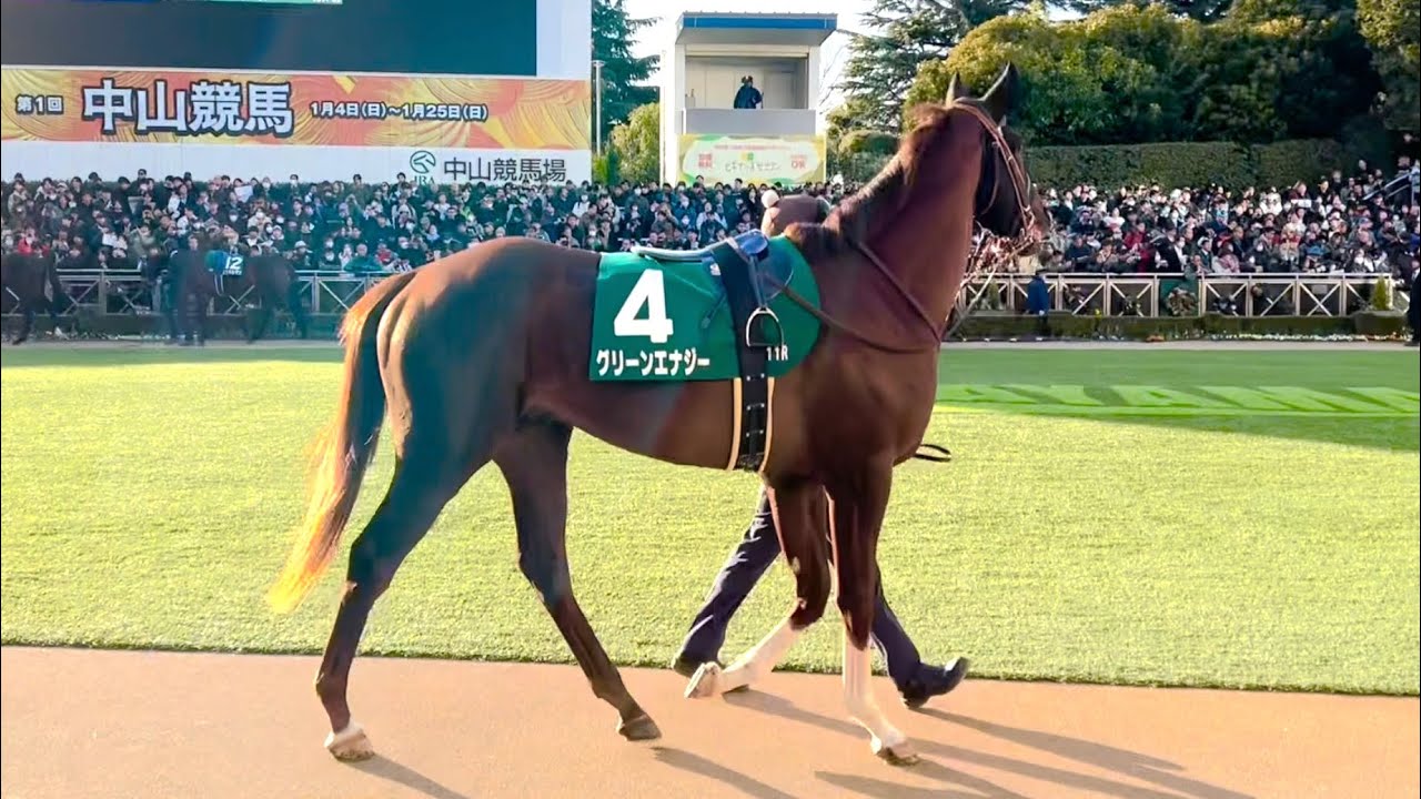 【G3】京成杯グリーンエナジー全頭パドック2026年1月18日(日曜) 1回中山7日 11R中山競馬場