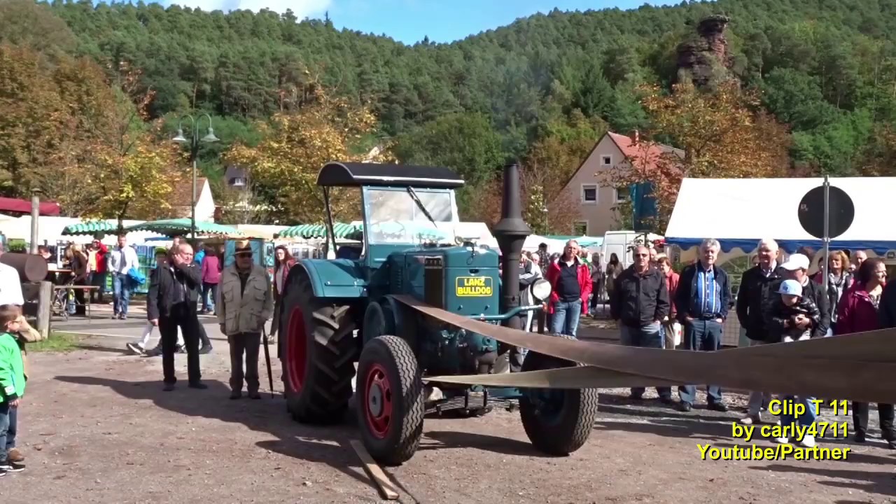 18.deutsch-französischer Bauernmarkt Hinterweidenthal Südwestpfalz T11
