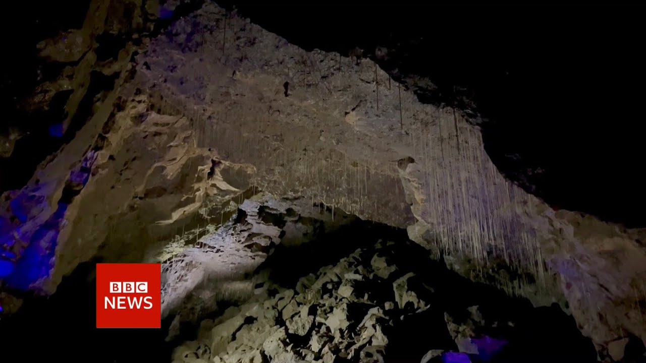 Mock BBC News Filler #7