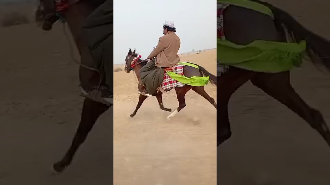 #Hussain Baloch official horse🐎 race 🔥#