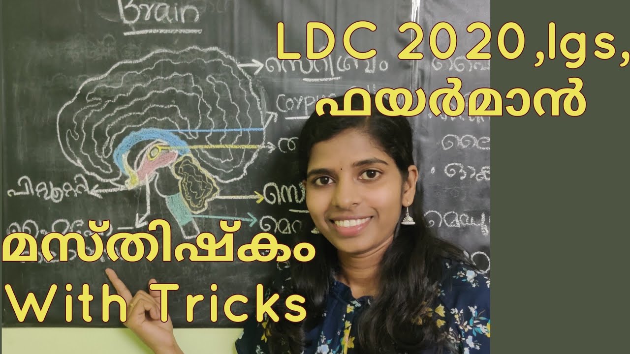 kerala psc science class Brain 