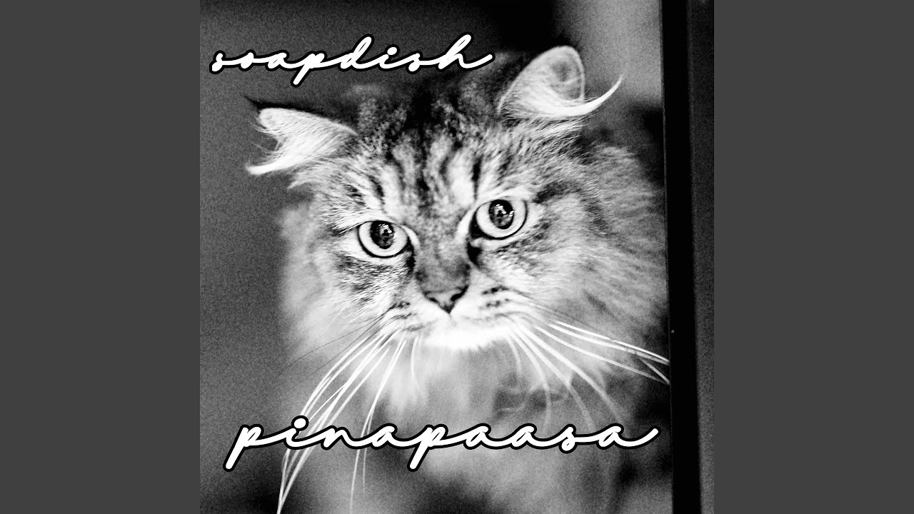 Pinapaasa
