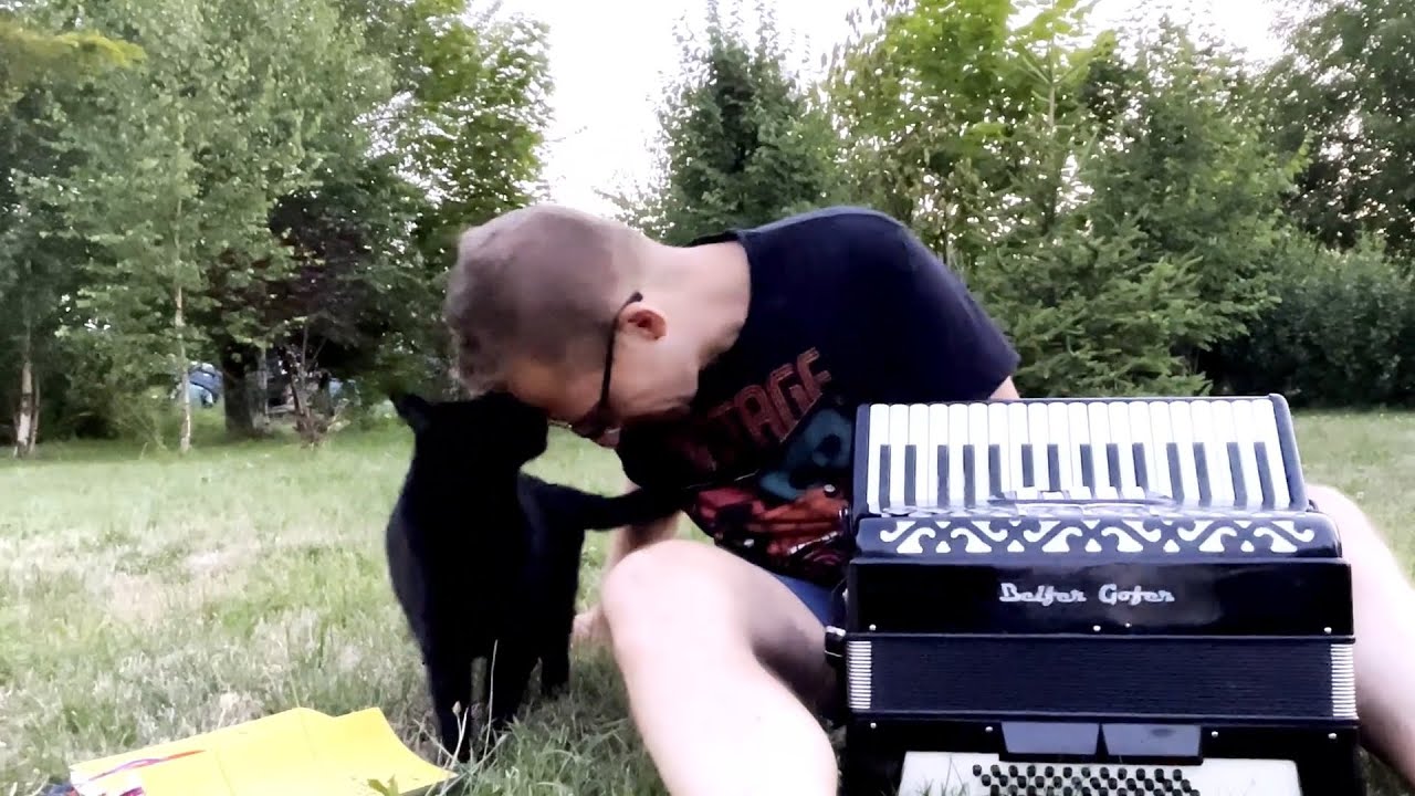 Największy błąd początkujących na akordeonie!