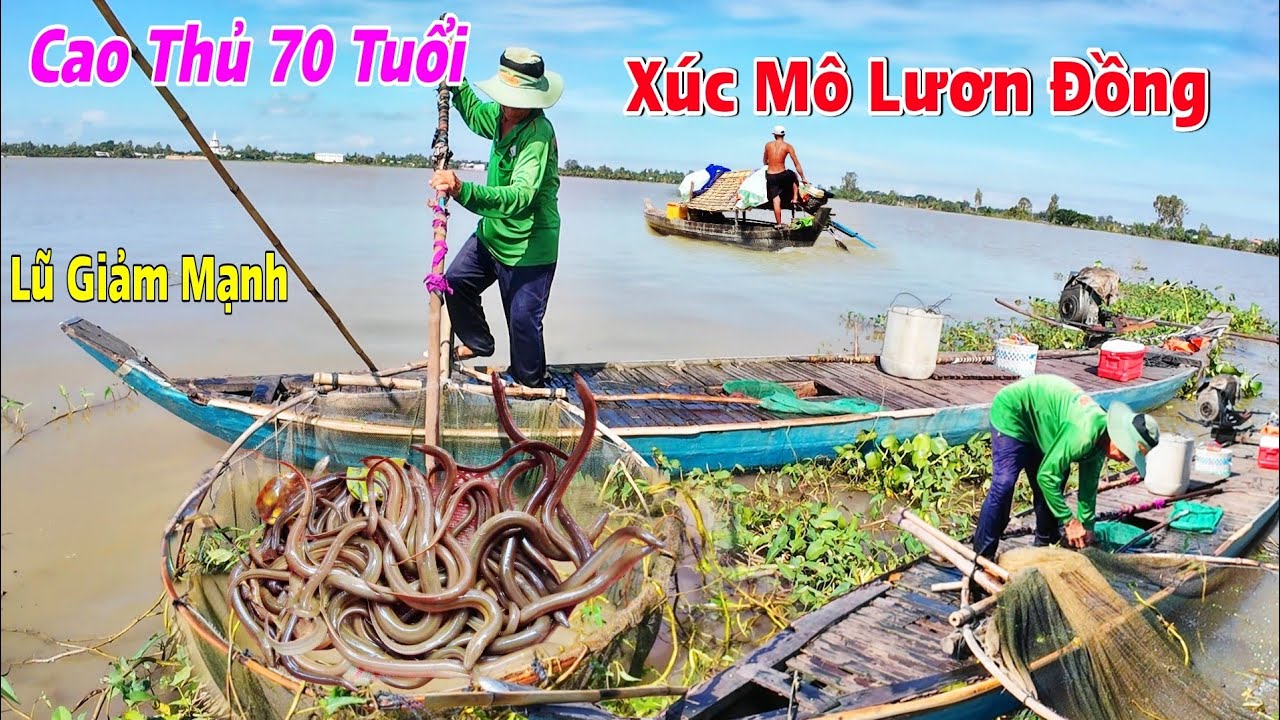 Lũ dữ rút xuống đột ngột