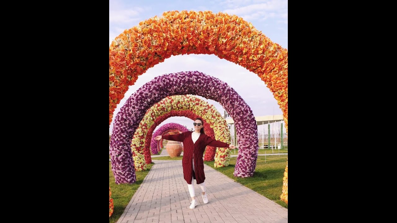 Өмір заңдылығы.