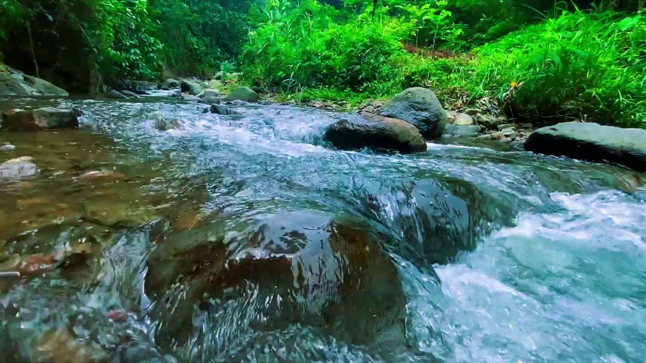 САМЫЙ МОЩНЫЙ ЗВУК ДЛЯ СНА 🌌 Бешеный поток воды в тропическом лесу