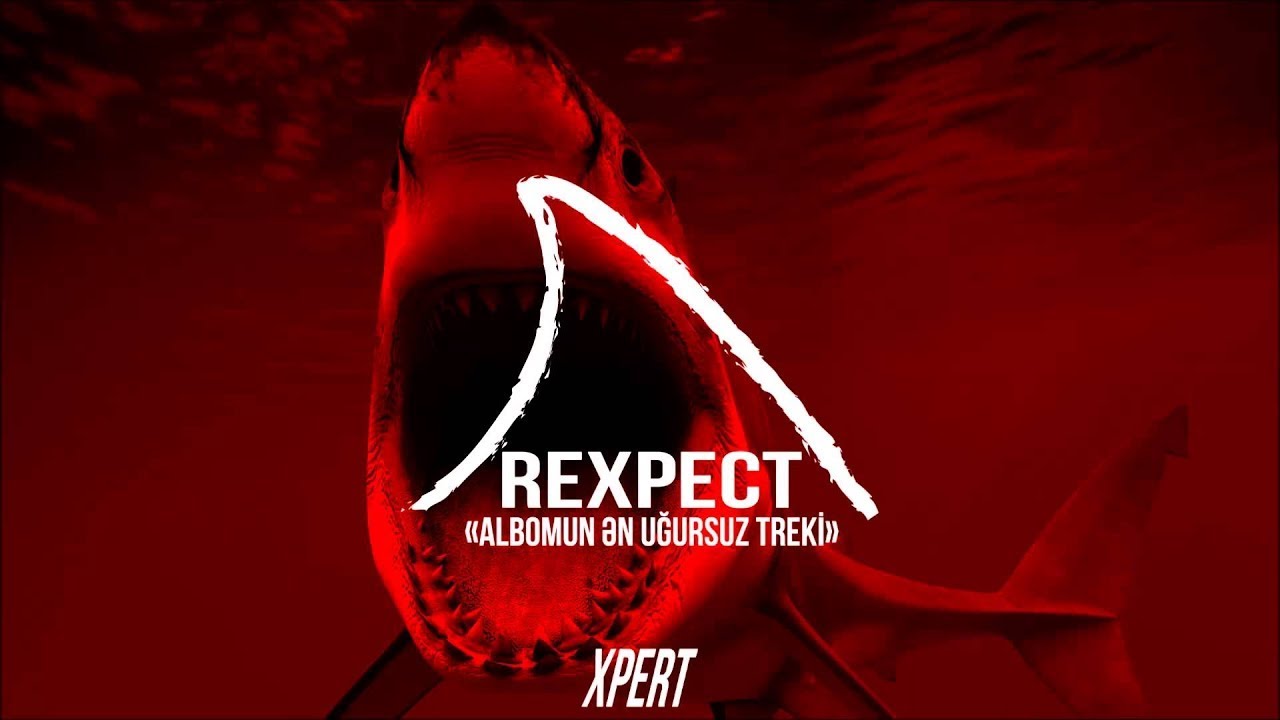 Xpert - Rexpect
