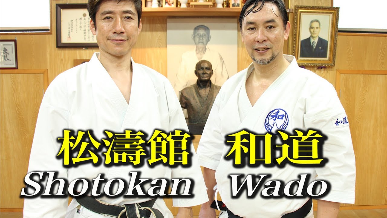 こんなの見たことないぞ！和道流空手！Amazing Wado-ryu Karate!