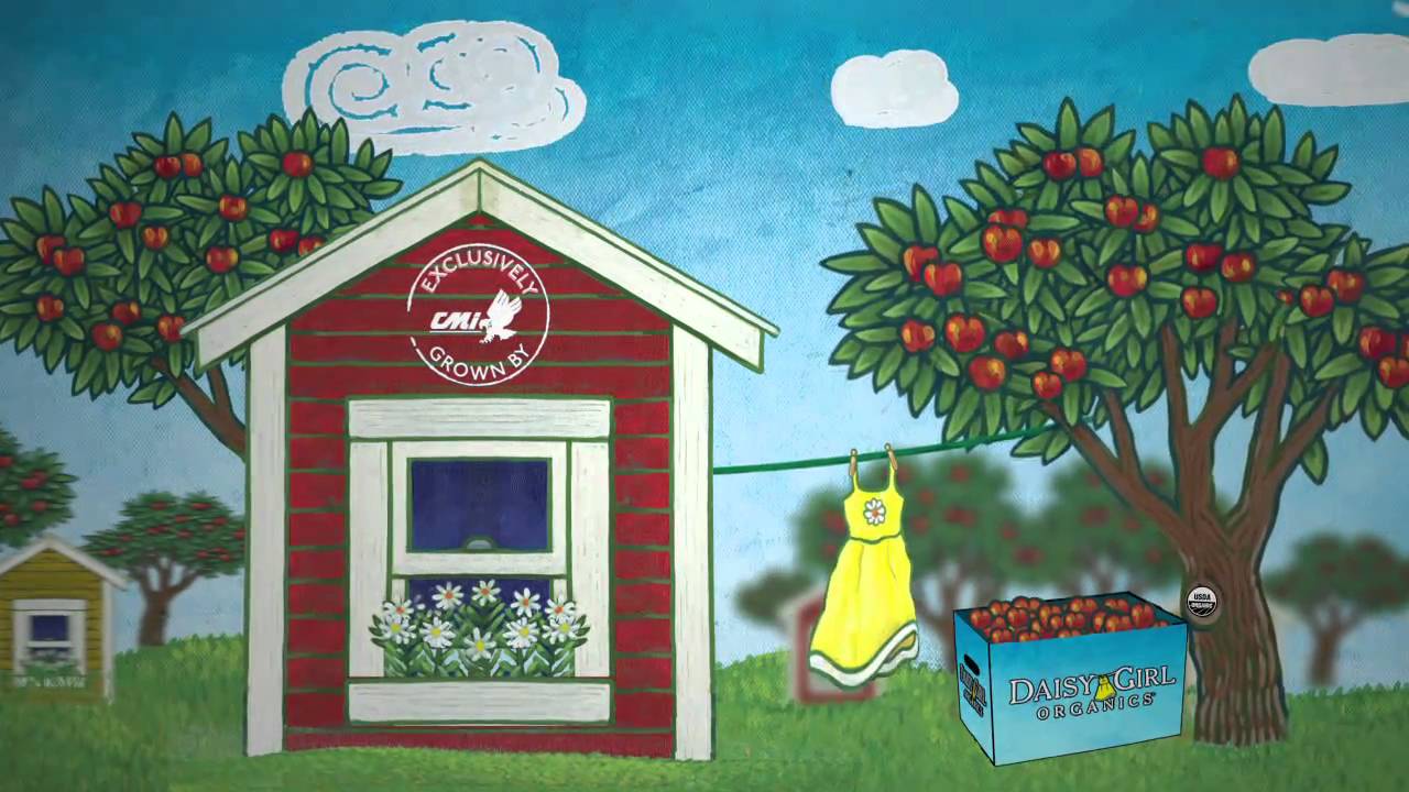 Daisy Girl CMI Apples