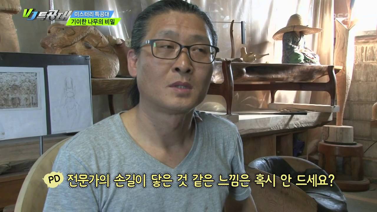 VJ 특공대 강진군 기이한 나무의 비밀