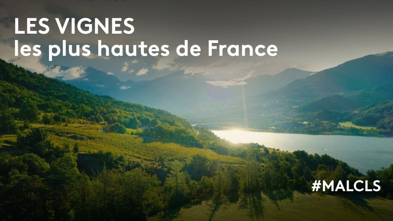 Les vignes les plus hautes de France