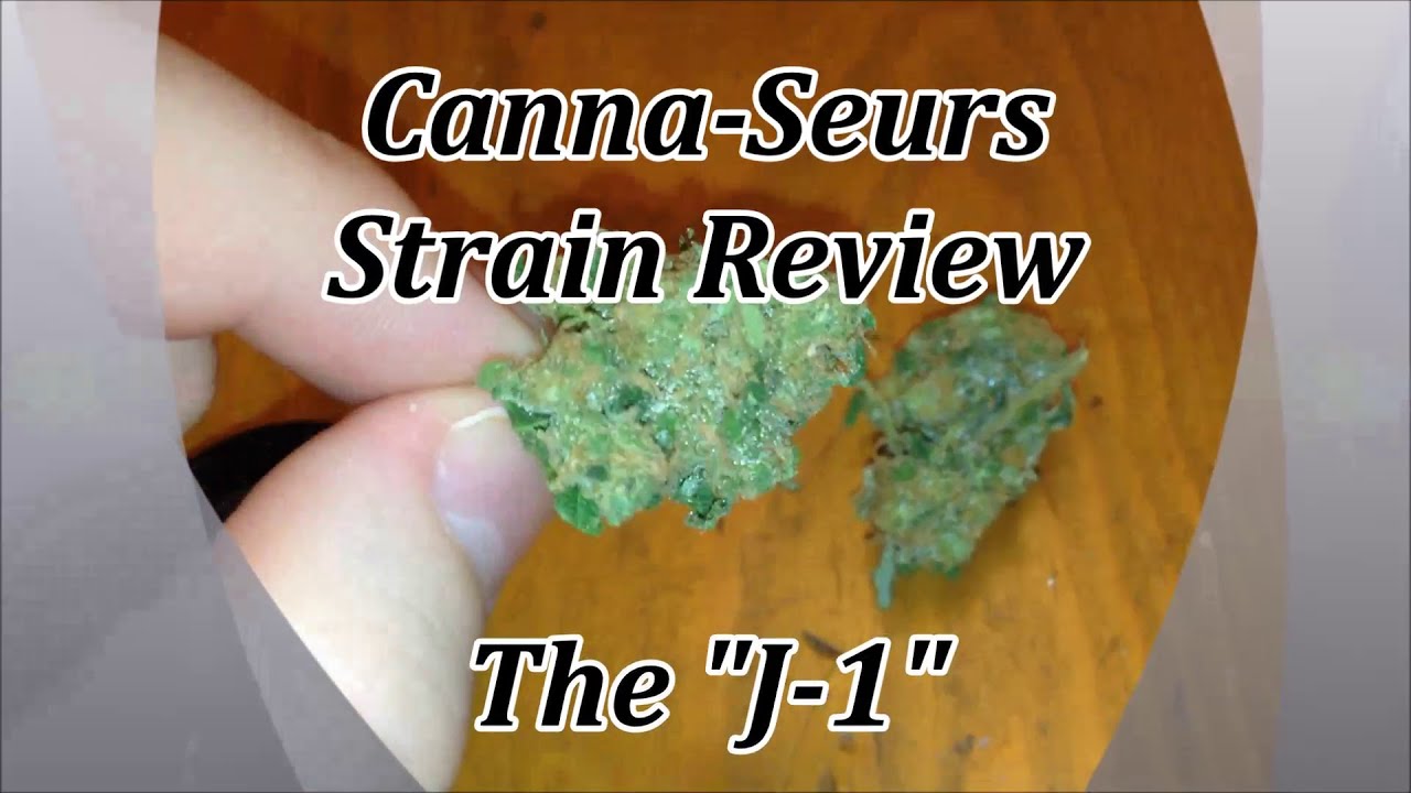 J-1 Strain Review Canna Seurs 420 Cannabis Review