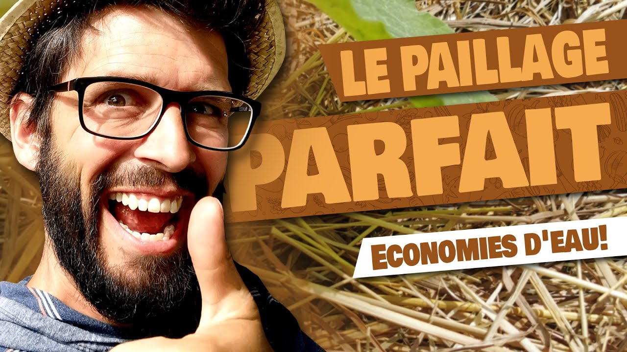 PAILLAGE - L'indispensable au potager!