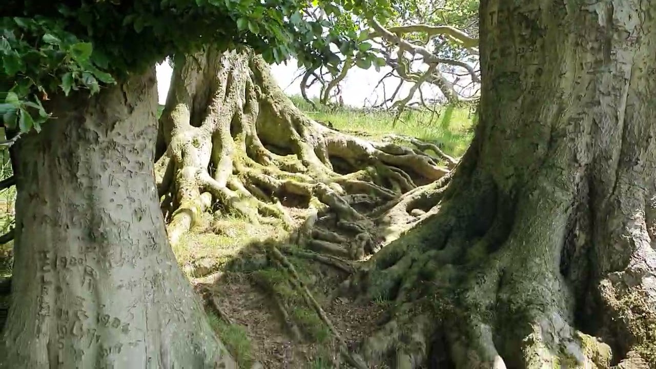 The Most Haunted Hill in Britain : The Occult graffiti of Meon Hill