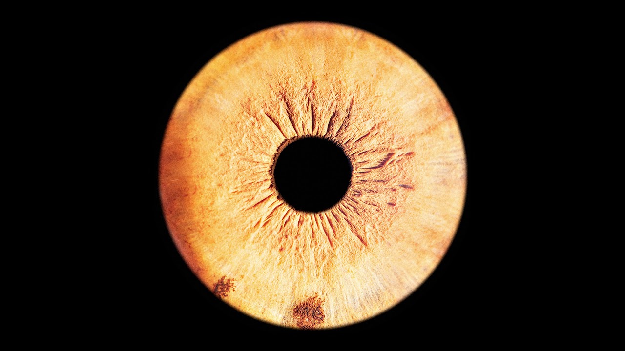 Shkedul & Ale Boo - Conoscere [NORDLTD006]