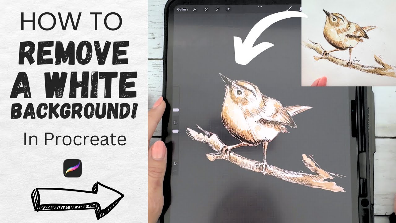 How to Remove a White Background from a Photo in Procreate (Easy PNG Tutorial!)