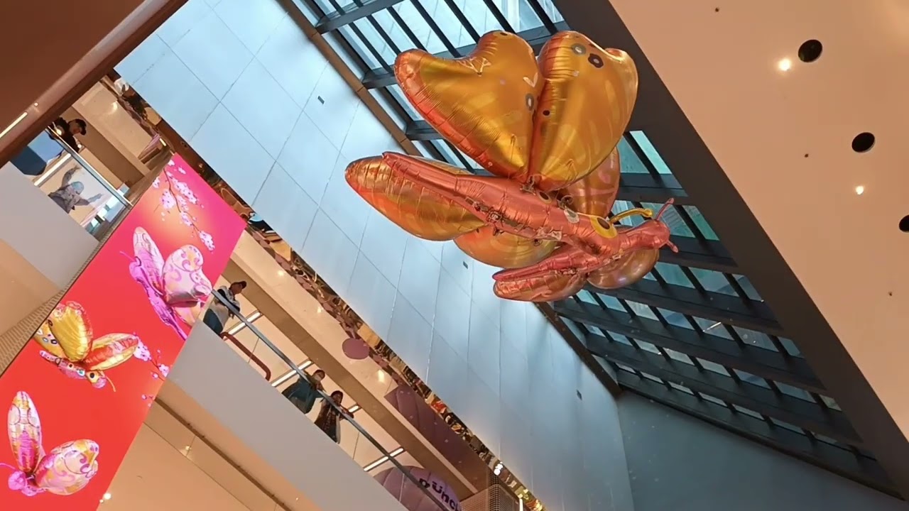 Butterfly Drones at wwwtc mall