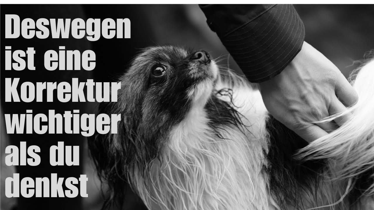 Deswegen ist eine Korrektur wichtiger als du denkst.