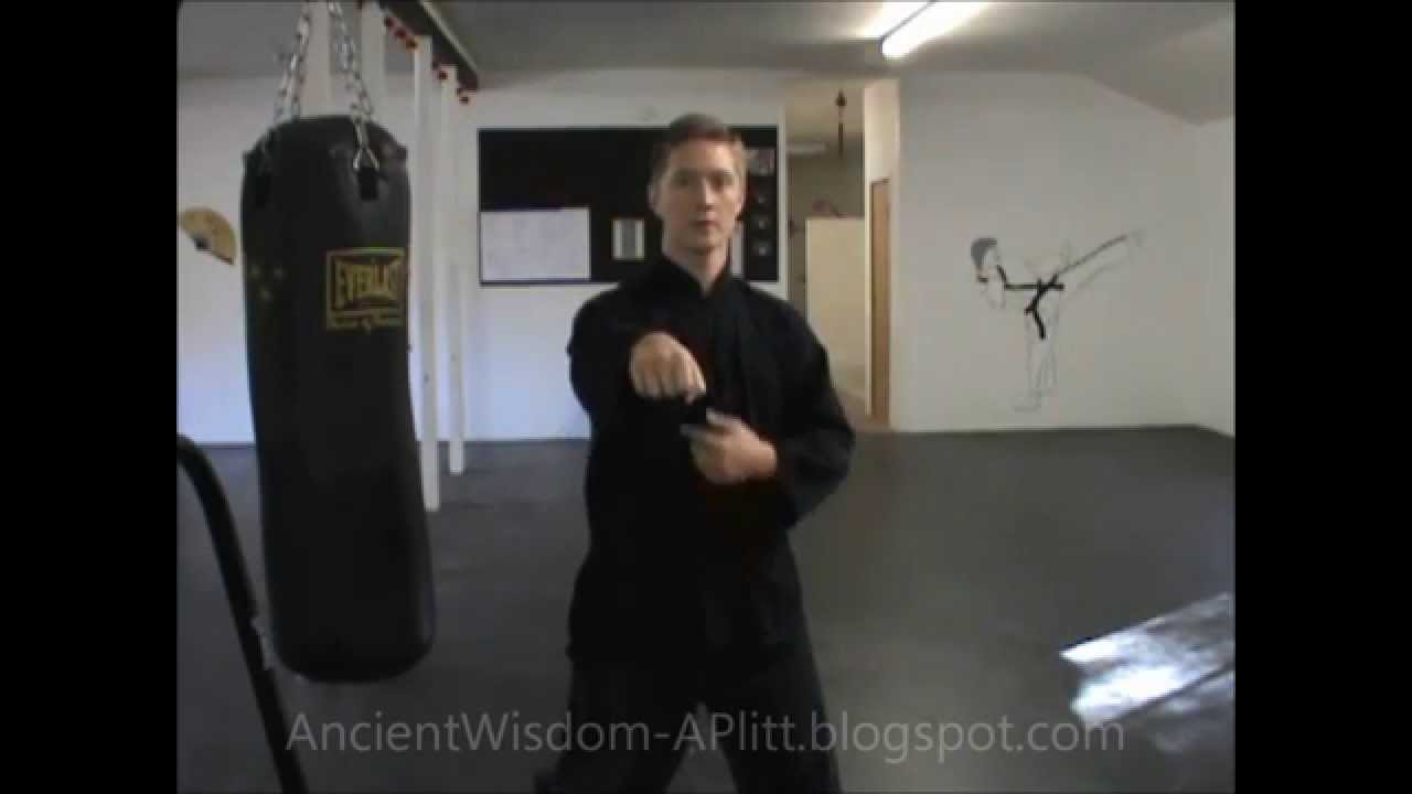 (2/21) Tai Chi Bag Drills: Straight Punch  /(Taijiquan, Jin Drills)