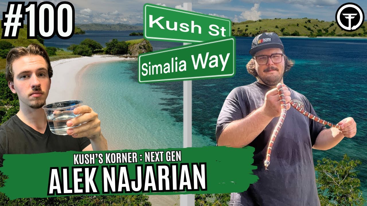 Deep Dive Into Lace Monitor And Heloderma Breeding | Kush's Korner : Next Gen Live