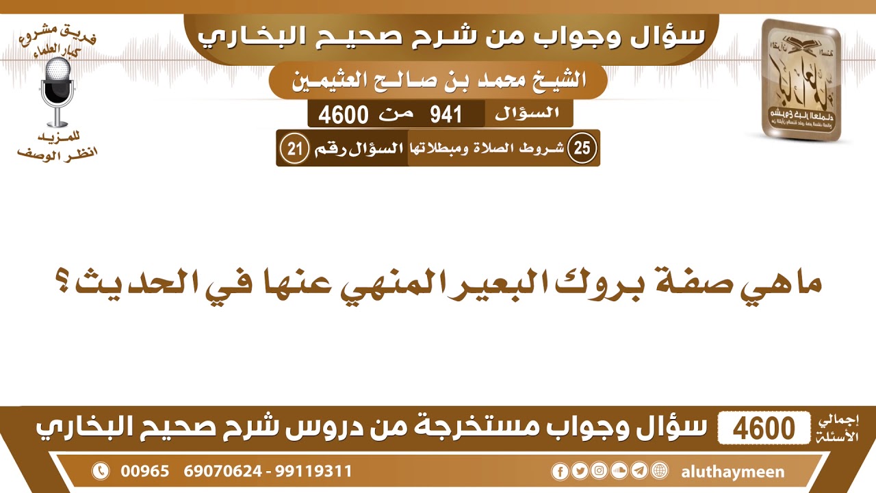 941 - 4600 ماهي صفة بروك البعير المنهي عنها في الحديث؟ ابن عثيمين