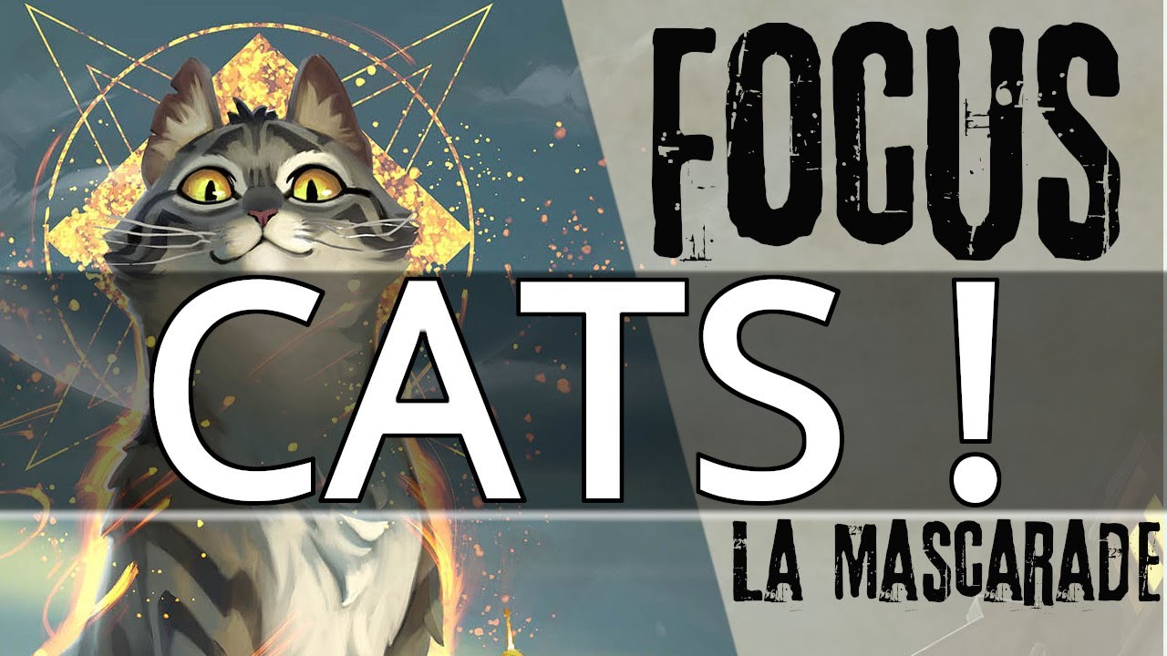[Focus] Cats! La Mascarade, There's a cool cat in town.