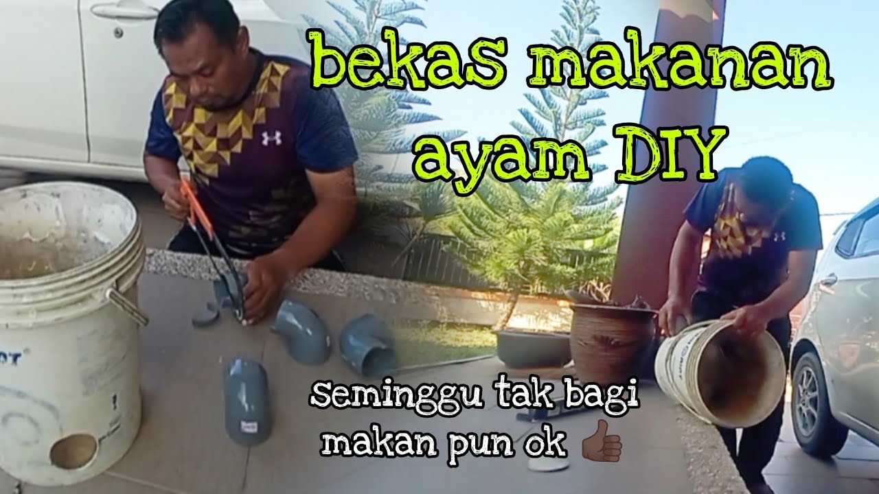 [Episod745] seminggu tak payah bagi makan. guna tong cat jer dah jadi bekas makanan ayam.
