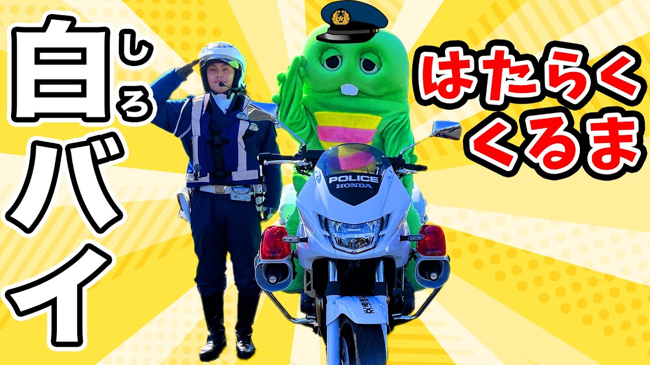 かっこいい！『白バイ』に乗ってみたよ！【はたらくくるま（働く車）】【千葉県警察】【パトカー】【バイク】