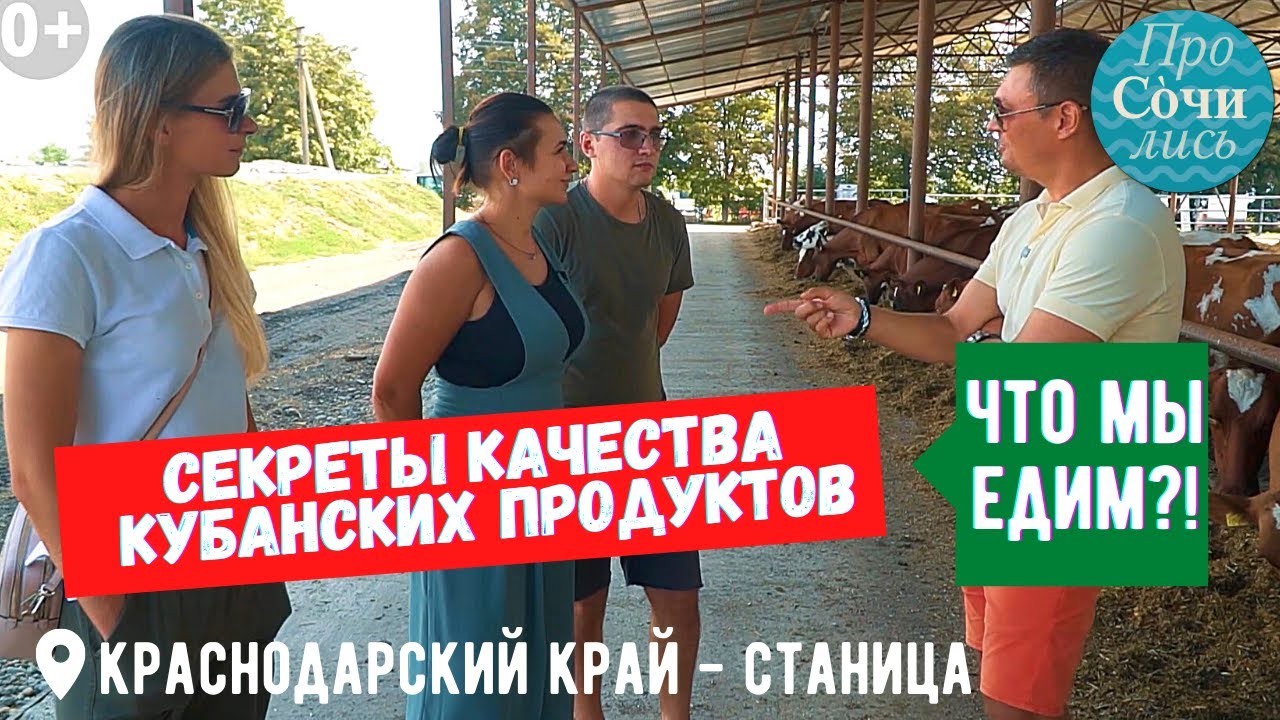 Кубанские продукты ➤Фермерские хозяйства Краснодарского края ✔качество наших продуктов 🔵Просочились
