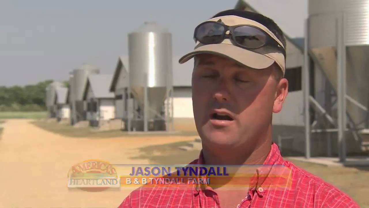 Turning Hog Waste into Environmentally Friendly Fertilizer - America's Heartland