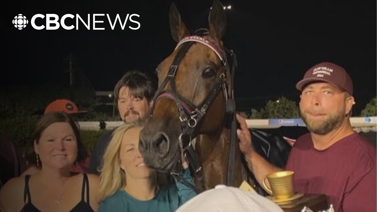 Award-winning horse trainer suspended, fined in blood-doping case