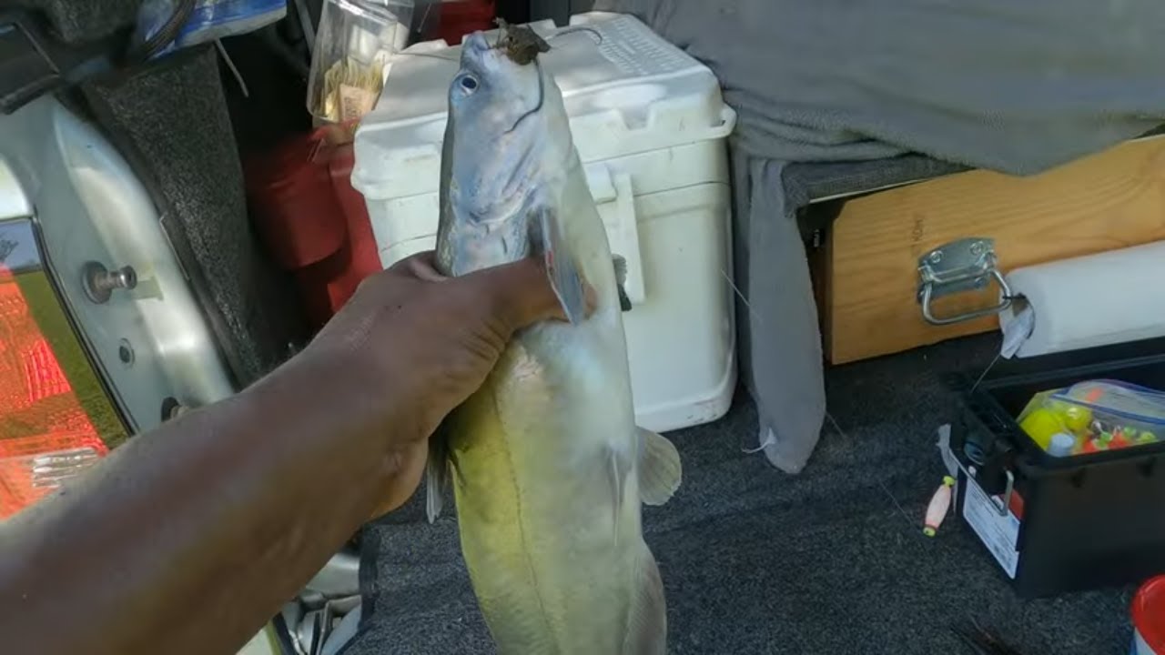 Three Fishing Spots and I'm Right Back at the Creek!!!