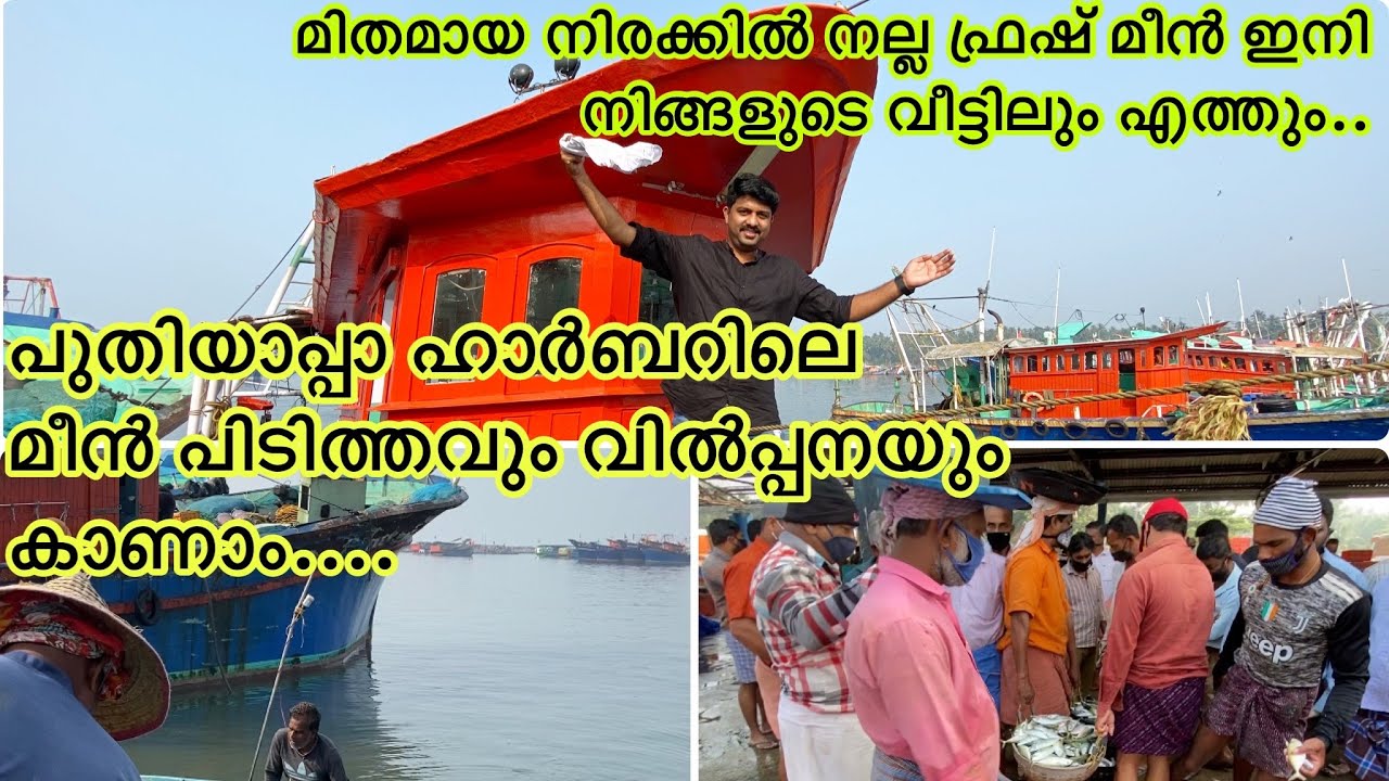 നല്ല പിടയ്ക്കുന്ന fresh മീൻ വേണോ /We Deliver Fresh Fish At Your Door Step/F4Fish/Cisel Shak Vlog