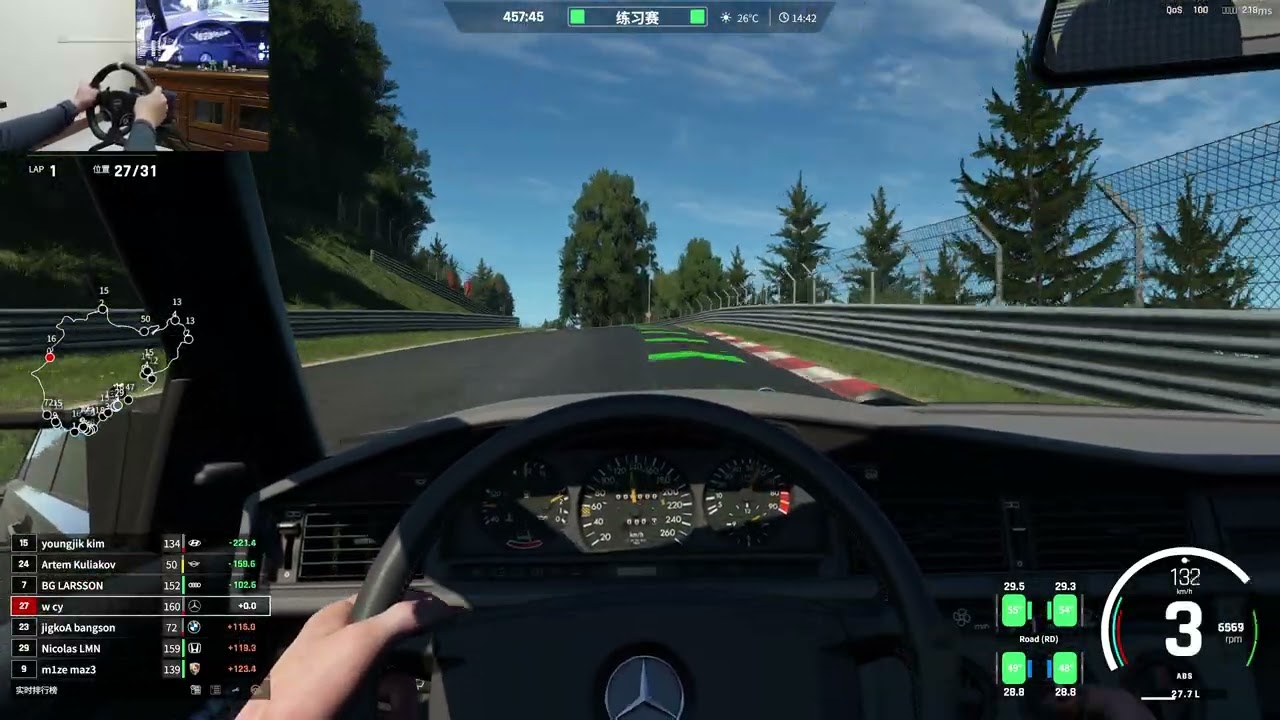 Assetto Corsa EVO 0.5 | Nürburgring TF | Time Attack | Mercedes-Benz 190E Evo II
