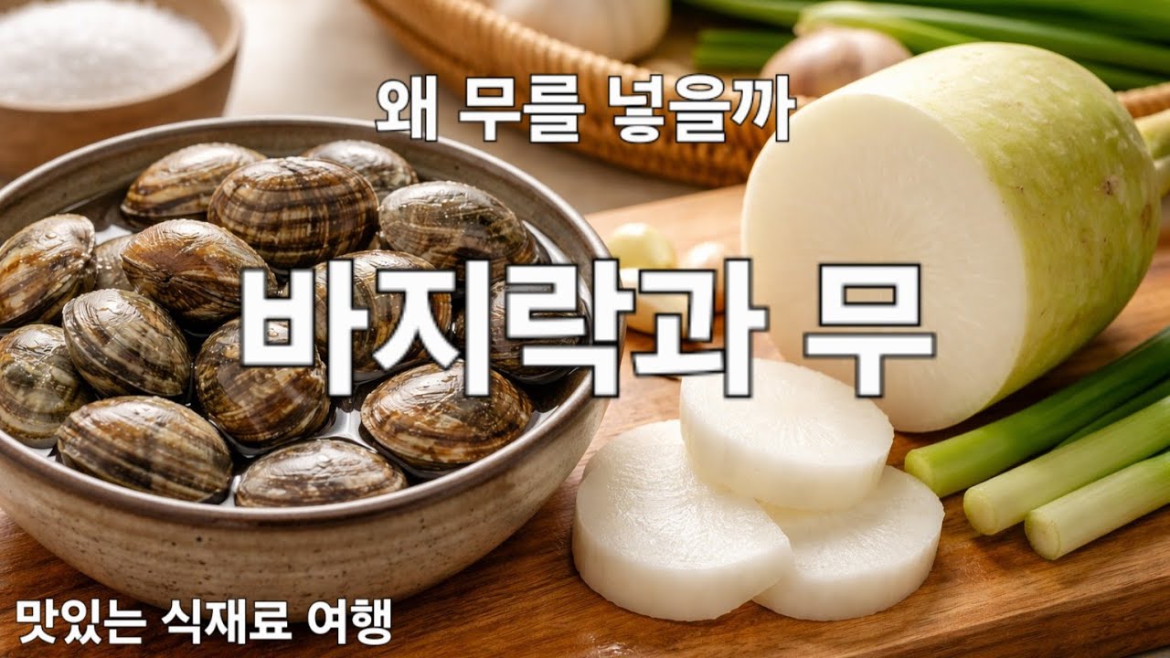 🌊🦪 바지락과 무 — 바다 국물이 시원해지는 이유