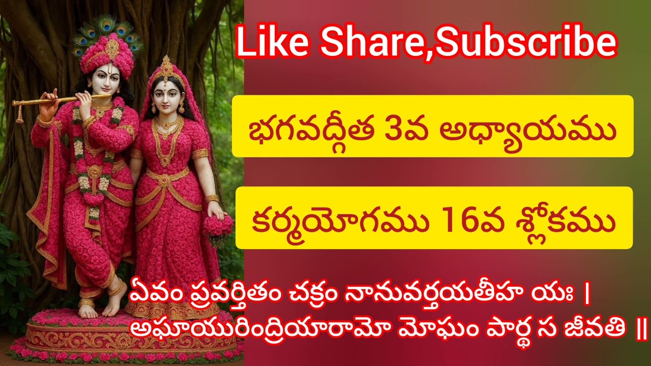 భగవద్గీత 3వ అధ్యాయము.16వ శ్లోకము. సులభతర తాత్పర్యము. కర్మయోగము.||Gita Sloka Vani||