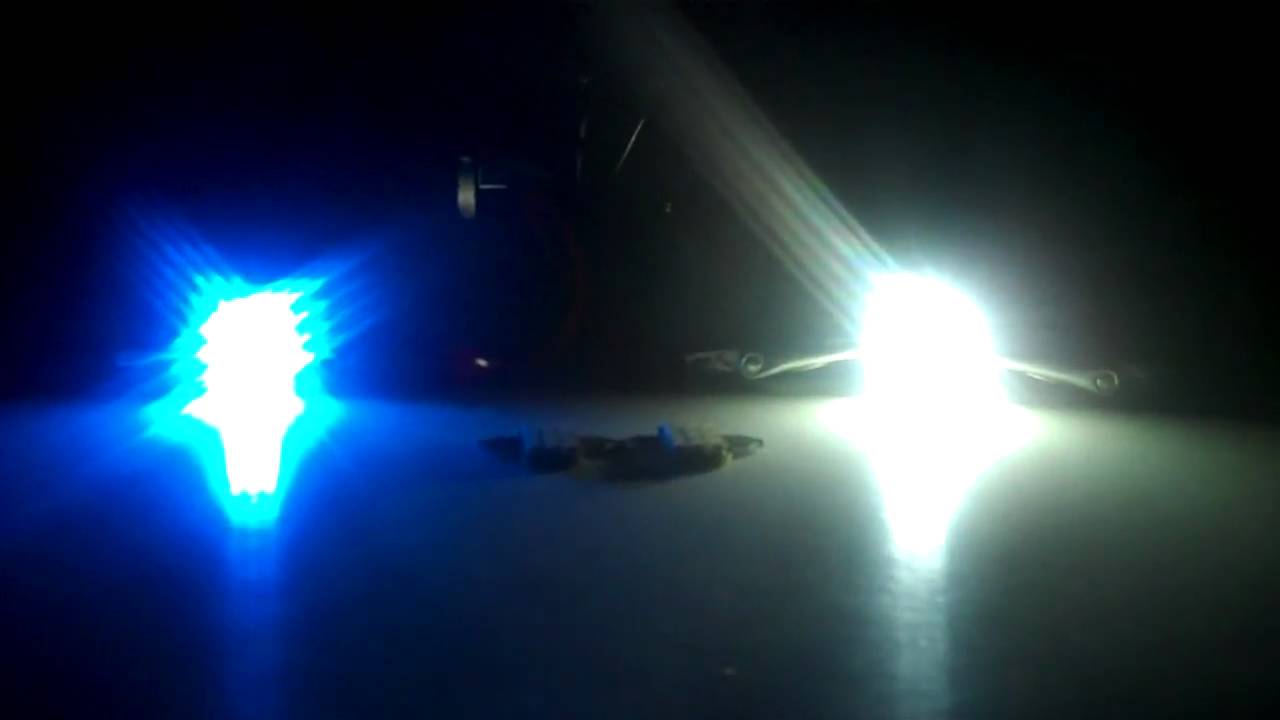 LEDbulbz : 